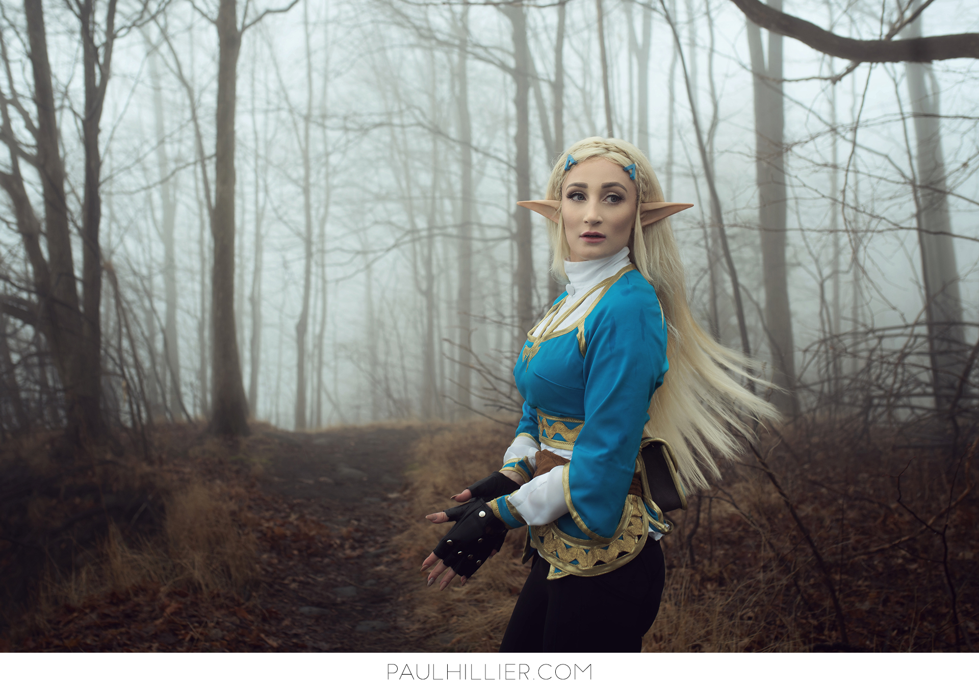 Remembering Zelda
